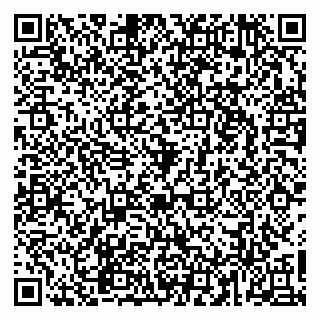vCard 79965163231