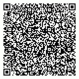 vCard 79965163232