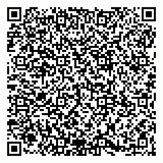 vCard 79965163245