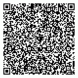 vCard 79965163293