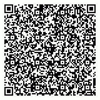 vCard 79965163295