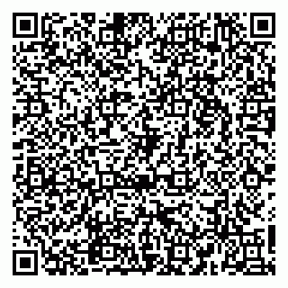 vCard 79965163297