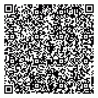 vCard 79965163298