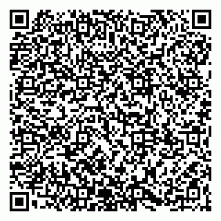 vCard 79965163299