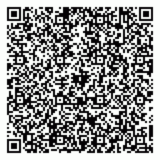 vCard 79965163303