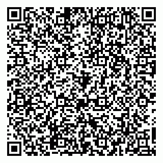 vCard 79965163305