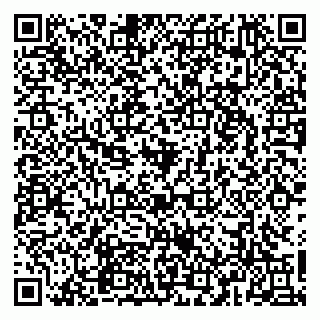 vCard 79965163306
