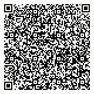 vCard 79965163307