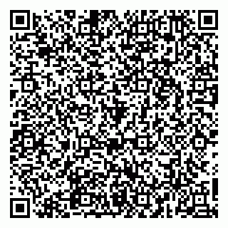 vCard 79965163310