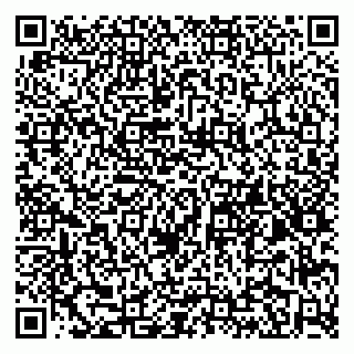 vCard 79965163311