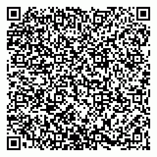 vCard 79965163313