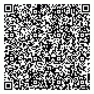 vCard 79965163314