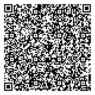 vCard 79965163315