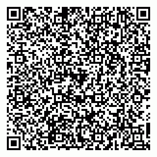 vCard 79965163317