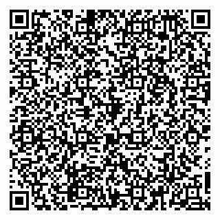 vCard 79965163328