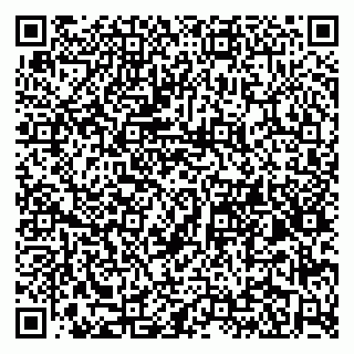 vCard 79965163331