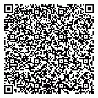 vCard 79965163335