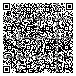 vCard 79965163339