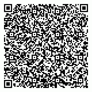 vCard 79965163341