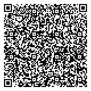 vCard 79965163351