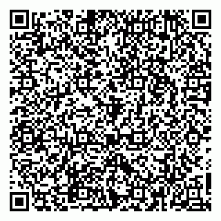 vCard 79965163371