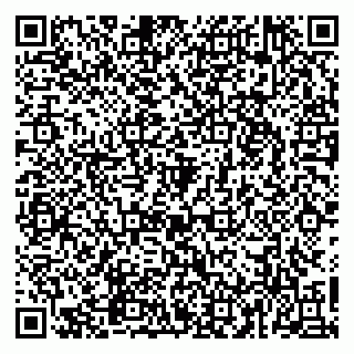 vCard 79965163373