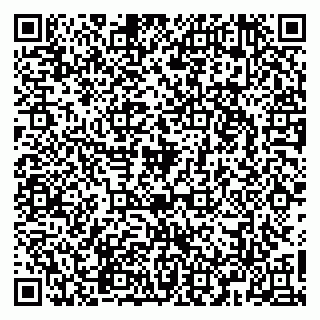 vCard 79965163381
