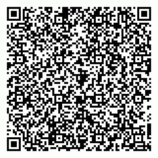 vCard 79965163387
