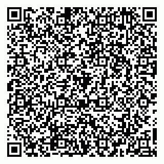 vCard 79965163389