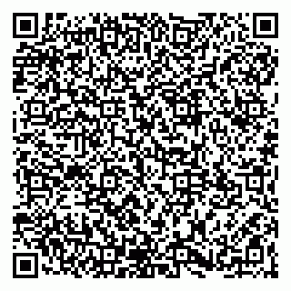 vCard 79965163393