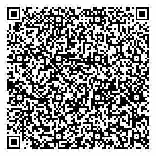 vCard 79965163395