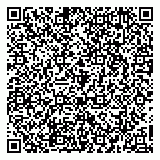 vCard 79965163399
