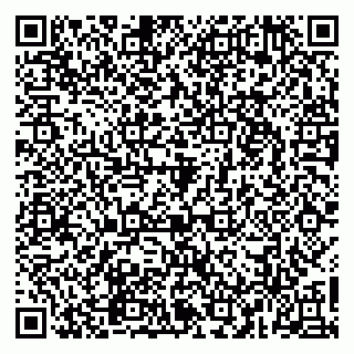 vCard 79965163411