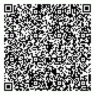 vCard 79965163413
