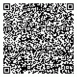 vCard 79965163489