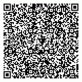 vCard 79965163498