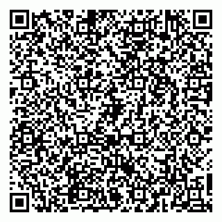 vCard 79965163503