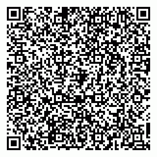 vCard 79965163504