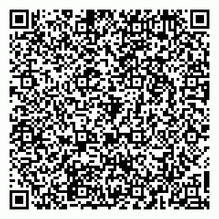 vCard 79965163509