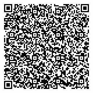 vCard 79965163520