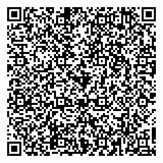 vCard 79965163531