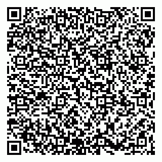 vCard 79965163538