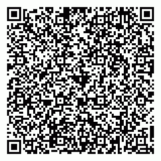 vCard 79965163539