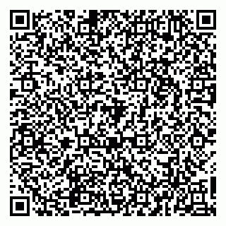 vCard 79965163545
