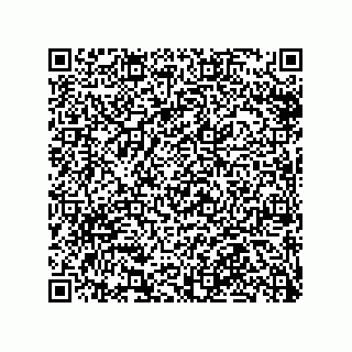 vCard 79965630314