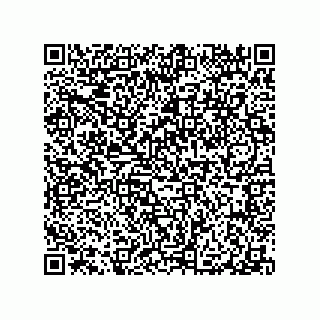 vCard 79965630379