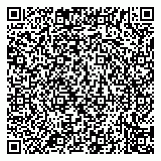 vCard 79965705713