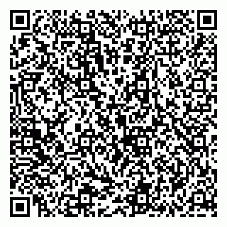 vCard 79965705728