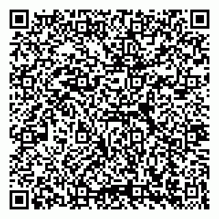 vCard 79965705873