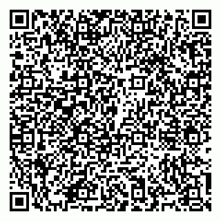 vCard 79965730083